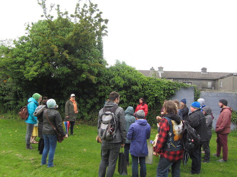 Herb Walk and Foraging in Galway with Dr Dilis Clare Apothecary Dr