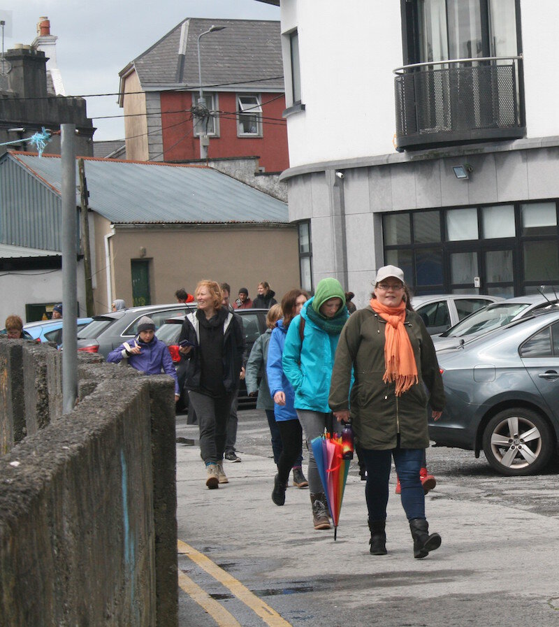 Herb Walk and Foraging in Galway with Dr Dilis Clare Apothecary Dr