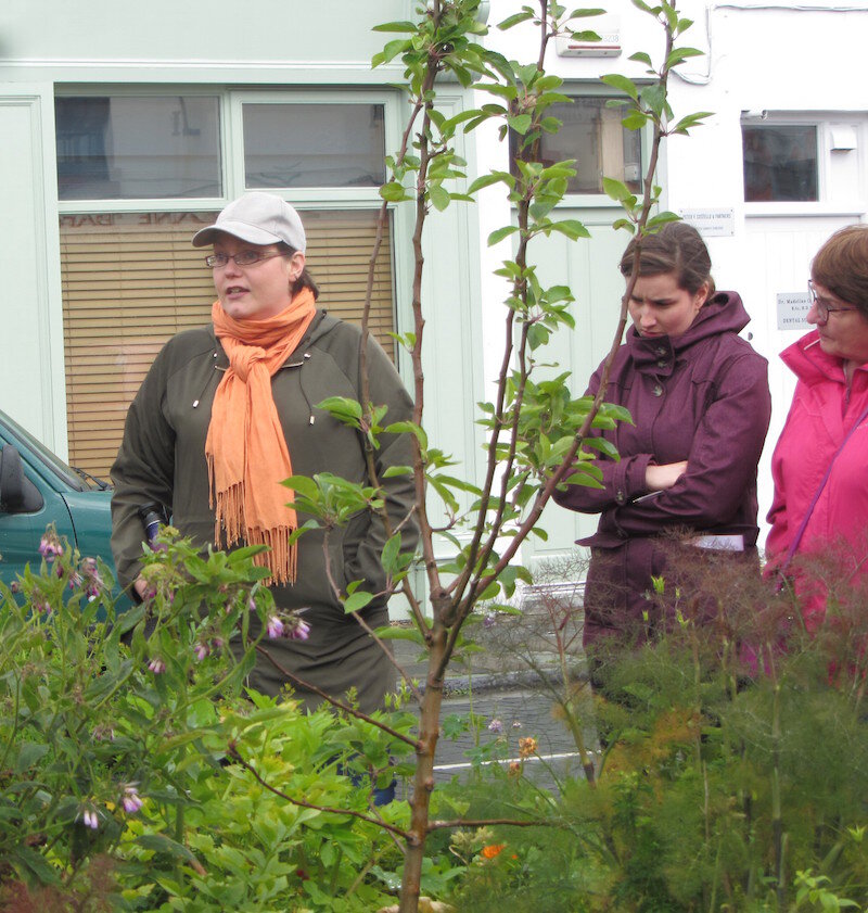 Herb Walk and Foraging in Galway with Dr Dilis Clare Apothecary Dr
